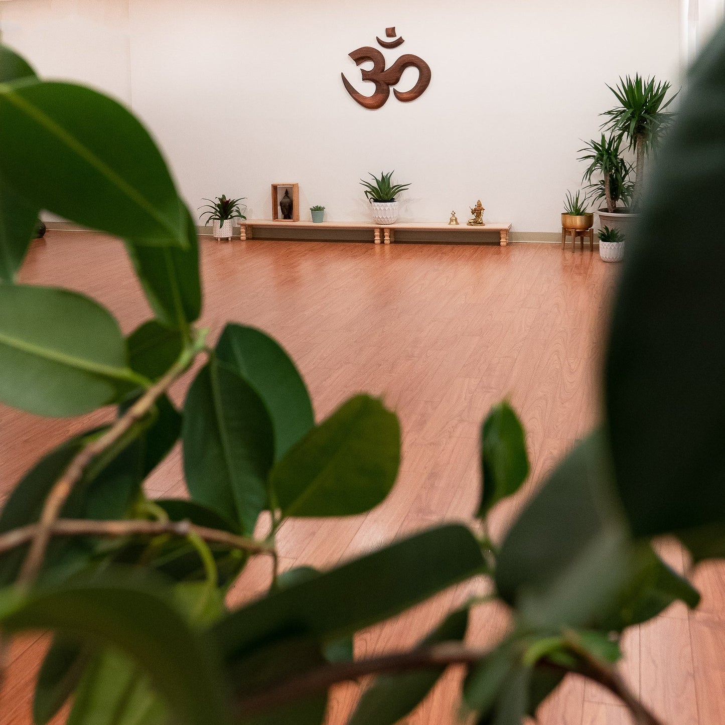 Cours MUNZ FLOOR à Sillery mardi 13h15 chez yoga INVIVO